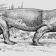 Image for article titled Why did nearly all life on Earth die 250 million years ago?